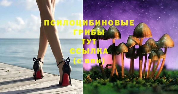 mdpv Алзамай