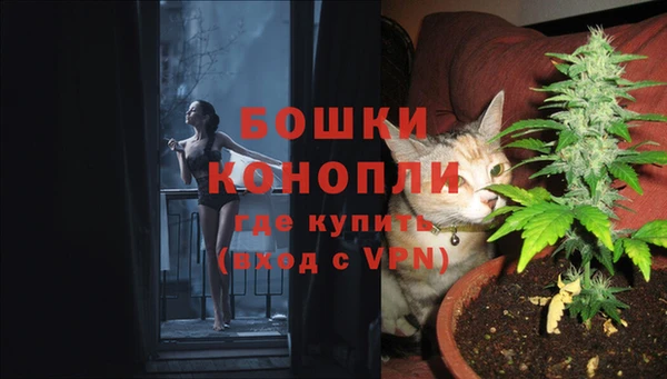 дживик Алексин