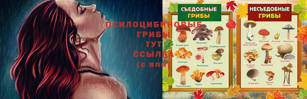 герыч Алексеевка